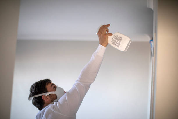 Best Best Mold Removal Companies  in Naples Park, FL