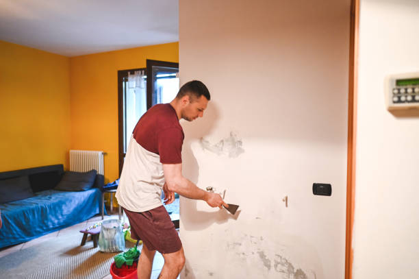 Trusted Naples Park, FL Mold Removal Experts